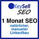 Seo Search Engine Optimization Manual 1 Month Link Building Backlinks Website Seo Pr